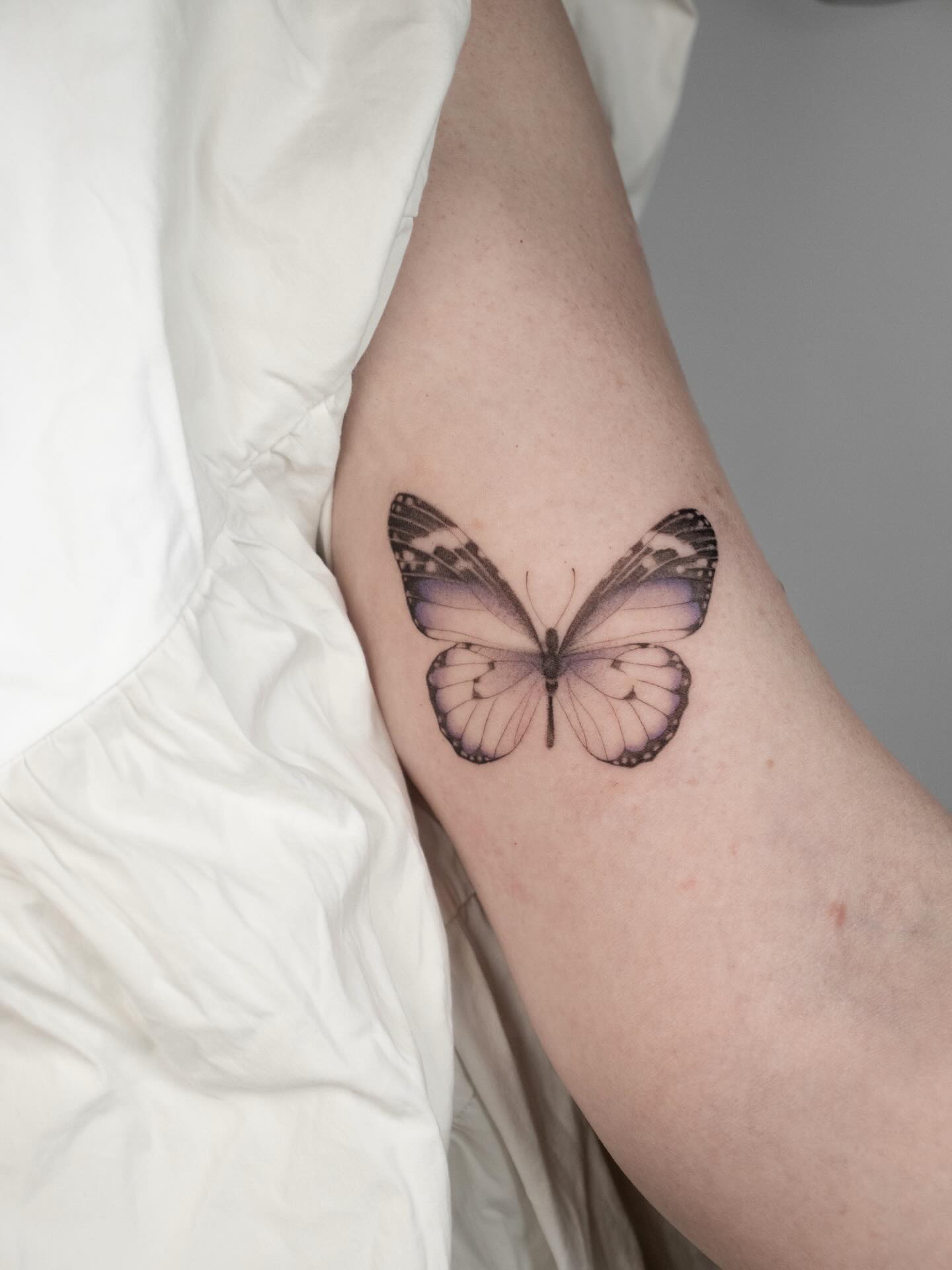 Pastelowy motyl – soft realism